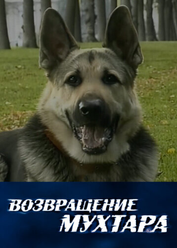 Мухтар. Новый след